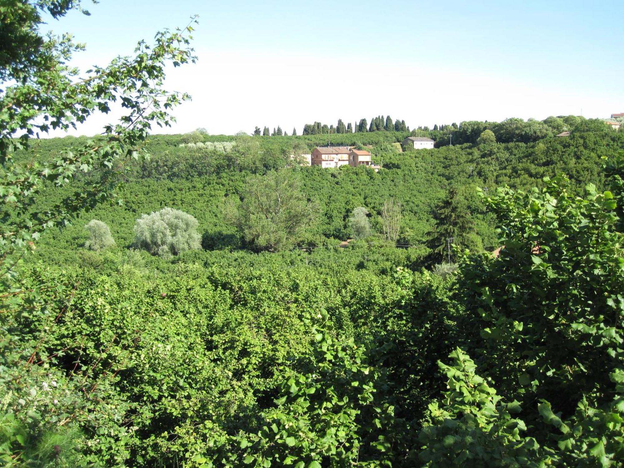 Country House Dolce Nocciola Vignanello Eksteriør billede